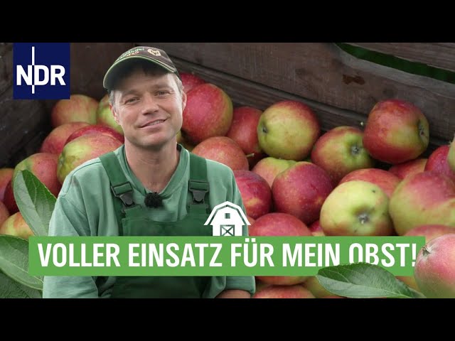 Durchs Jahr mit Obstbauer Olli Blohm | Doku & Reportage | NDR