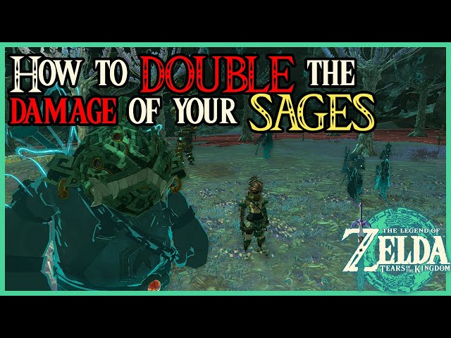 How to double your Sages base attack damage Zelda Tears of the Kingdom