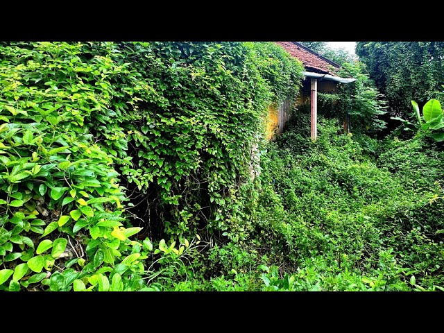 Inspire house cleanup transformation overgrown grass 100year-old horror abandoned horror  with vines