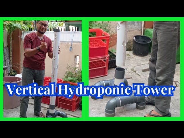 How to Build Vertical Hydroponic System using 3 inch PVC Pipe.. #hydroponics