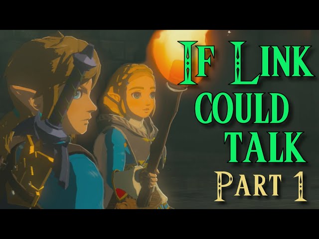 If Link Could Talk in Tears of the Kingdom Part 1