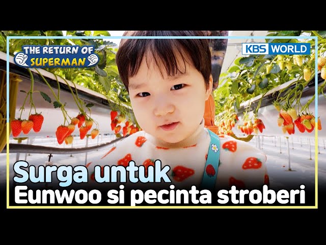 [IND/ENG] Eunwoo visits the strawberry festival!! | The Return of Superman | KBS WORLD TV 240428