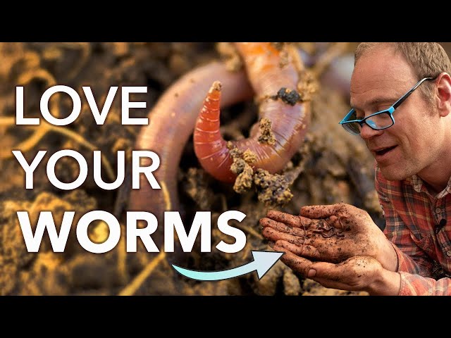 Get Worms to Work For You in your Vegetable Garden!