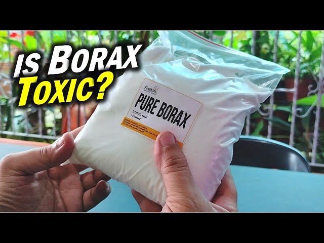 The Shocking Truth About BORAX: Is It TOXIC or SAFE? (sodium tetraborate)