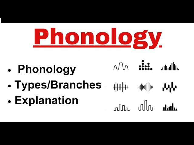 What is Phonology in linguistics? |Examples | Branches | Urdu / Hindi