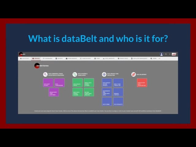 dataBelt® - What is dataBelt and who is it for?