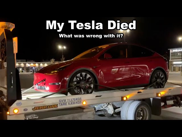 My Tesla Died and This is How Tesla Fixed It!