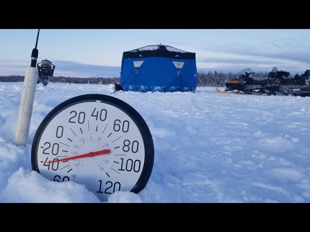 Fishing at -40 Degrees - Massive Trout Catch & Cook - Eating Raw Seal Meat