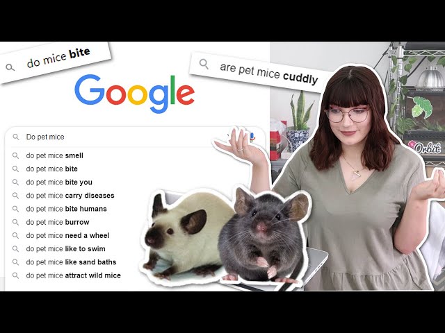 Answering the most GOOGLED mouse questions