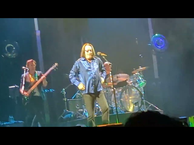 Todd Rundgren Down With the Ship