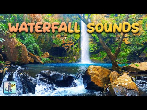 💦 Rivers & Waterfalls
