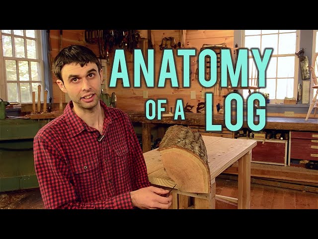 Anatomy of a Log
