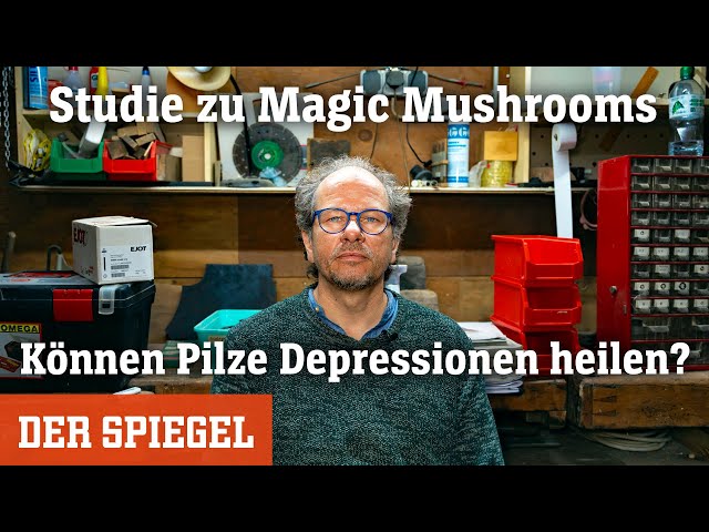 Magic Mushrooms: Können Pilze Depressionen heilen? | DER SPIEGEL