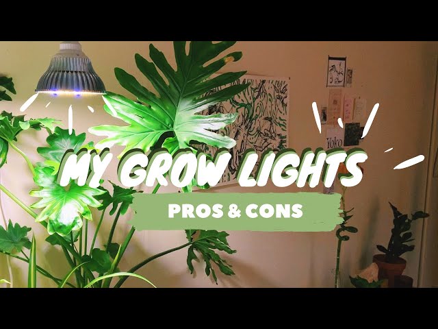 MY GROW LIGHT SETUP | grow lights for houseplants | pros & cons
