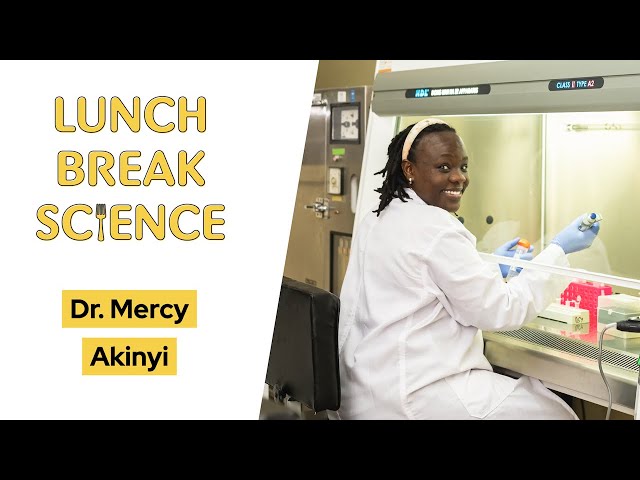 Lunch Break Science #41 | Mercy Akinyi