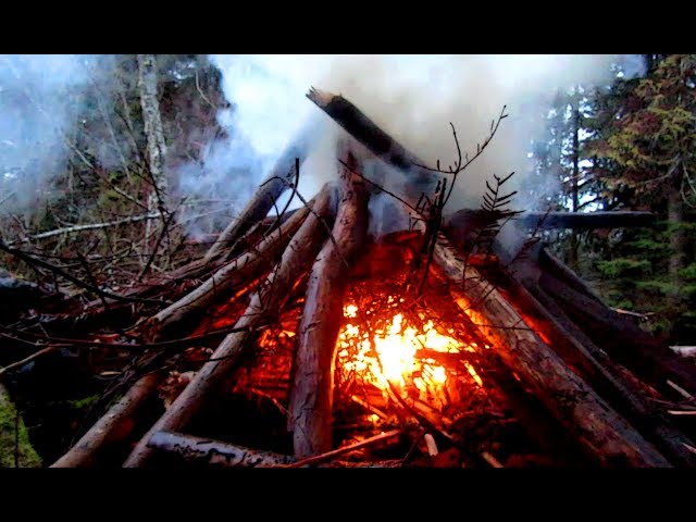 Conifer Bough Fire Booster to Burn Wet Wood