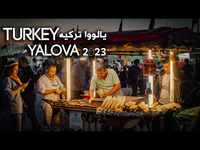 Sinariio Live Yalova Turkey