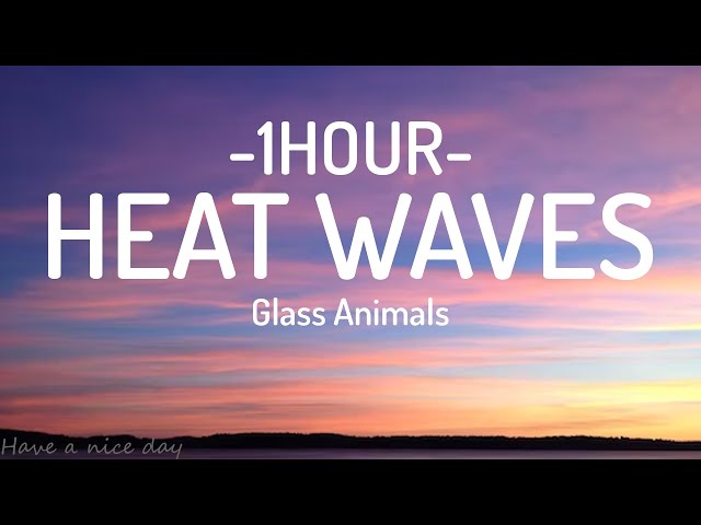 Glass Animals - Heat Waves (Lyrics)[1HOUR]