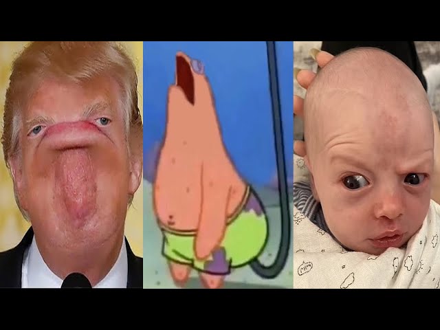 TRY NOT TO LAUGH 😂 Best Funny Videos 😆 Memes PART 2