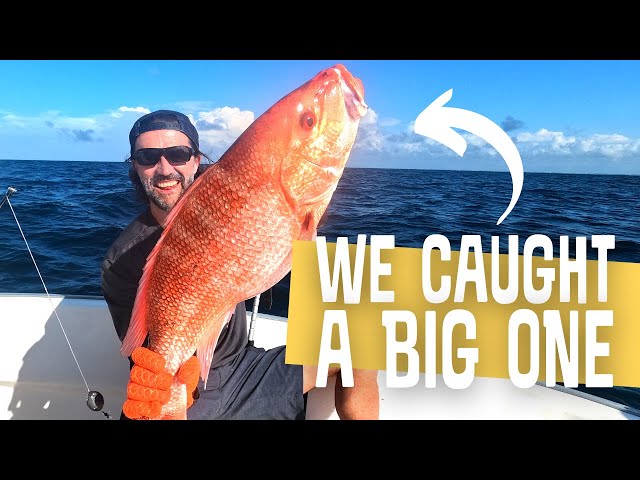RED SNAPPER SEASON! // Fishing the Gulf of Mexico