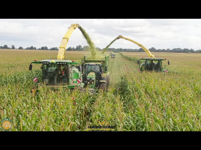 Mit Schlagkraft durch die Ernte Saison! 2 Häckselketten im Großeinsatz Maisernte - Maishäckseln 2021