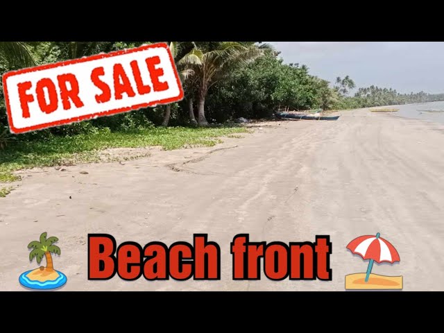 #59 Beach front property for sale / Calauag Quezon province Philippines