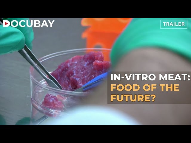 Lab-Grown Meat: Is In-Vitro Meat The Future Of Food? | Watch ‘Will We Soon Be Eating In Vitro Meat’