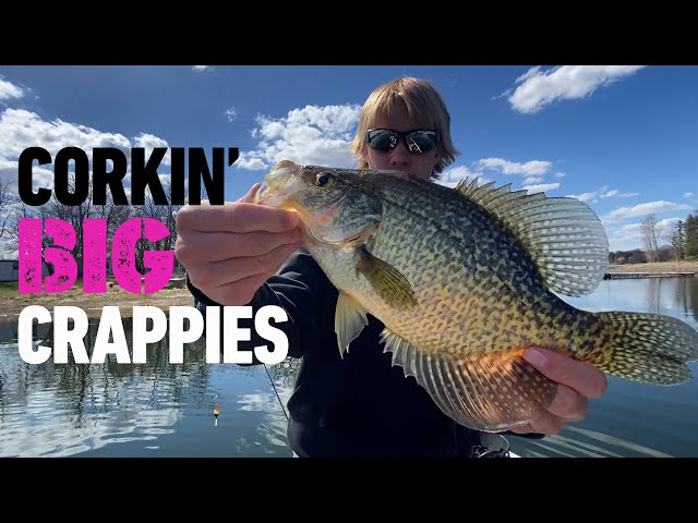 Fishing minnows under bobbers for shallow springtime crappies in NW Minnesota!