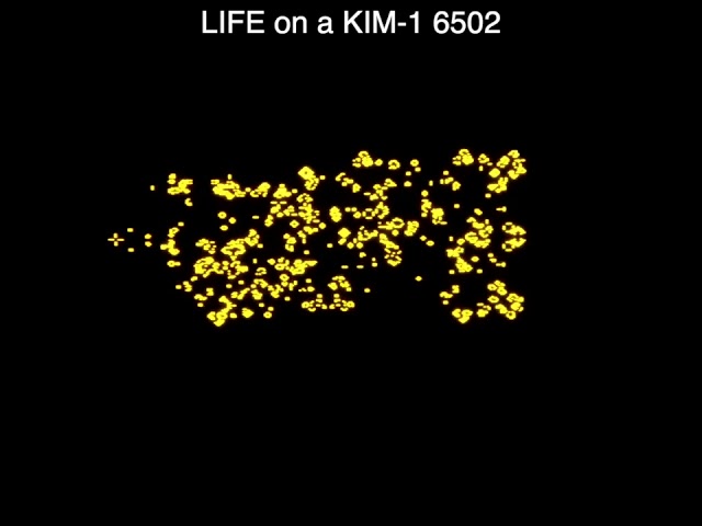 Life Simulation running on KIM-1 6502