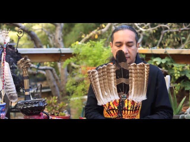Bird Medicine and the Art of Feathers with Ernesto Olmos