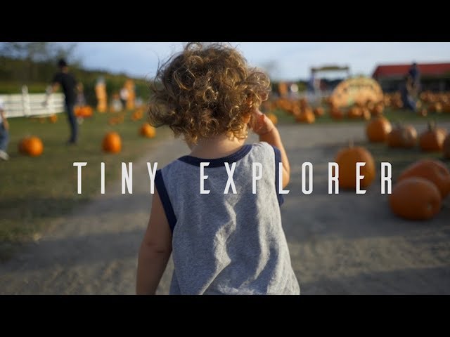Tiny Explorer | 120 FPS A7Rii