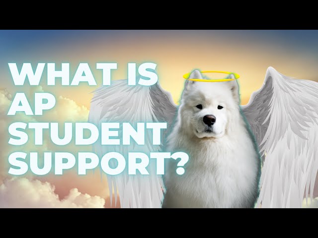 AP Student Support