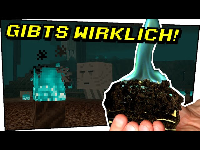 SOULSOIL GIBTS WIRKLICH! Minecraft in Real Life 7 - Gefährliche Experimente #144