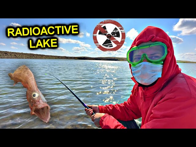 ✅Fishing on ATOMIC LAKE ☢️ MUTANT CRAYFISH 3 kg ☢️ Found the LOST CITY ☢️ Hiding from security