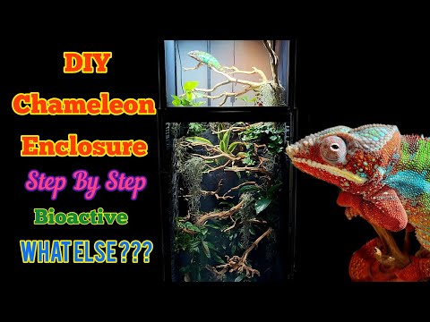 Chameleon Enclosure |How To Build A Hybrid Reptile Cage PVC or Wood DIY| Bioactive Vivarium.