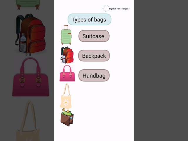 Types of bags #english #shorts #vocabulary