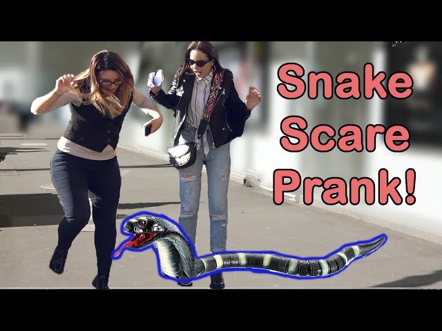 Snake Scare Prank!  2019 - AWESOME REACTIONS - Best of Just For Laughs