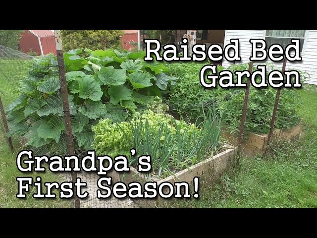 Raised Bed Garden -Grandpa's First Season!