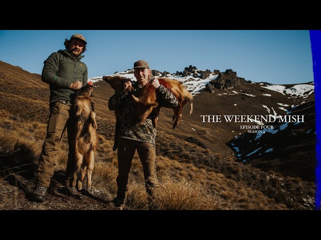 Hunting Feral Pigs and Deer, New Zealand