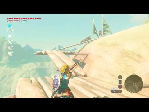 Breath of the Wild and Age of Calamity Stuff