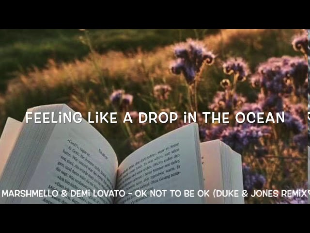 Marshmello & Demi Lovato - Ok Not to Be Ok (Duke & Jones Remix) Lyrics