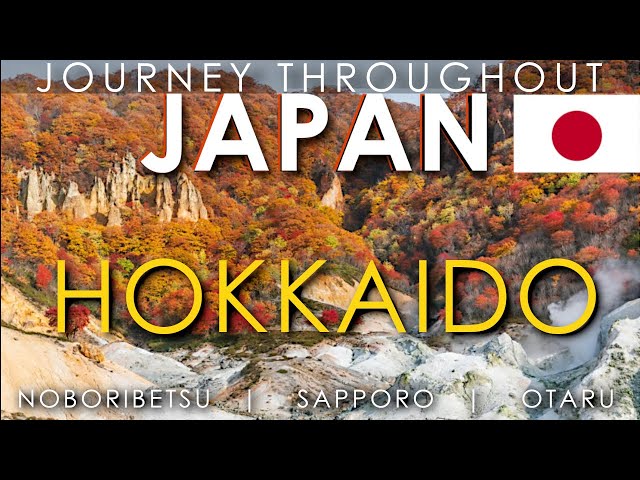 Japan 🇯🇵 - Hokkaido: Solo Traveling the Wild Island - Why You Should Go (Part 8) | Japan Travel Vlog