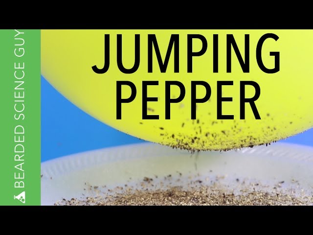 Jumping Pepper Science Experiment (Physics)