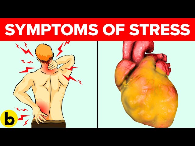 Symptoms Of Chronic Stress On Your Body