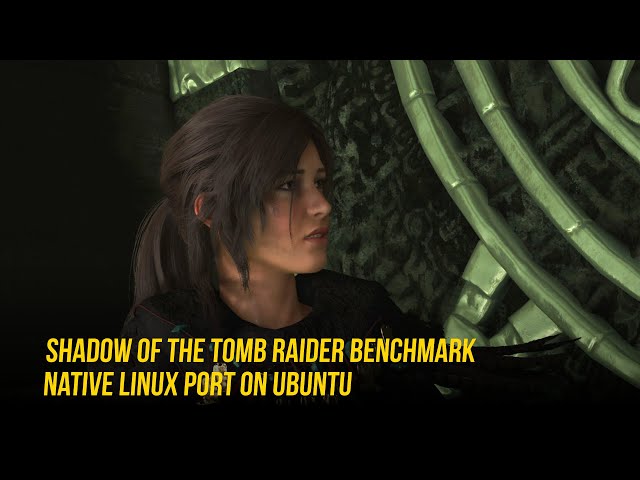 Shadow of the Tomb Raider Benchmark Test | Linux Native Performance on Ubuntu