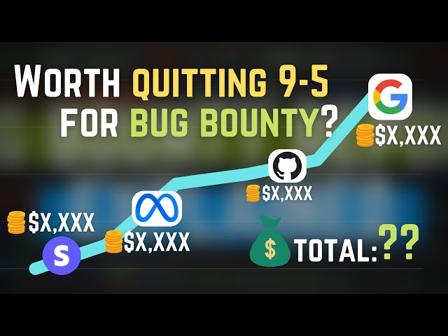 How much money I made in my 1st year of bug bounty? Bounty vlog #4