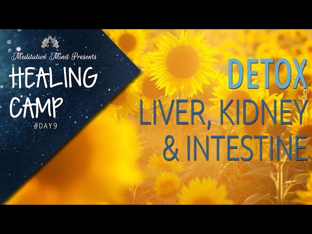 Sound & Color Therapy for Liver, Kidney & Intestine Detox | Healing Camp #Day 9