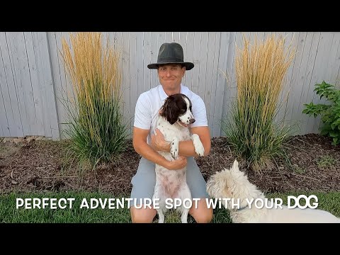 Where can you take your dog on your adventure?