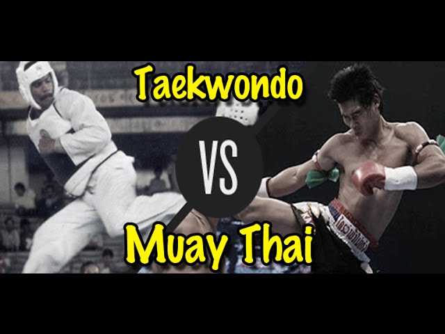 Muay Thai Champion vs. Taekwondo Black Belt | Lawrence Kenshin