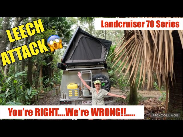Rainforest Camping- ATTACKED BY LEECHES!! LANDCRUISER 70 SERIES- Travel Australia (92)
